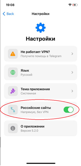 Окно изиVPN с настройками